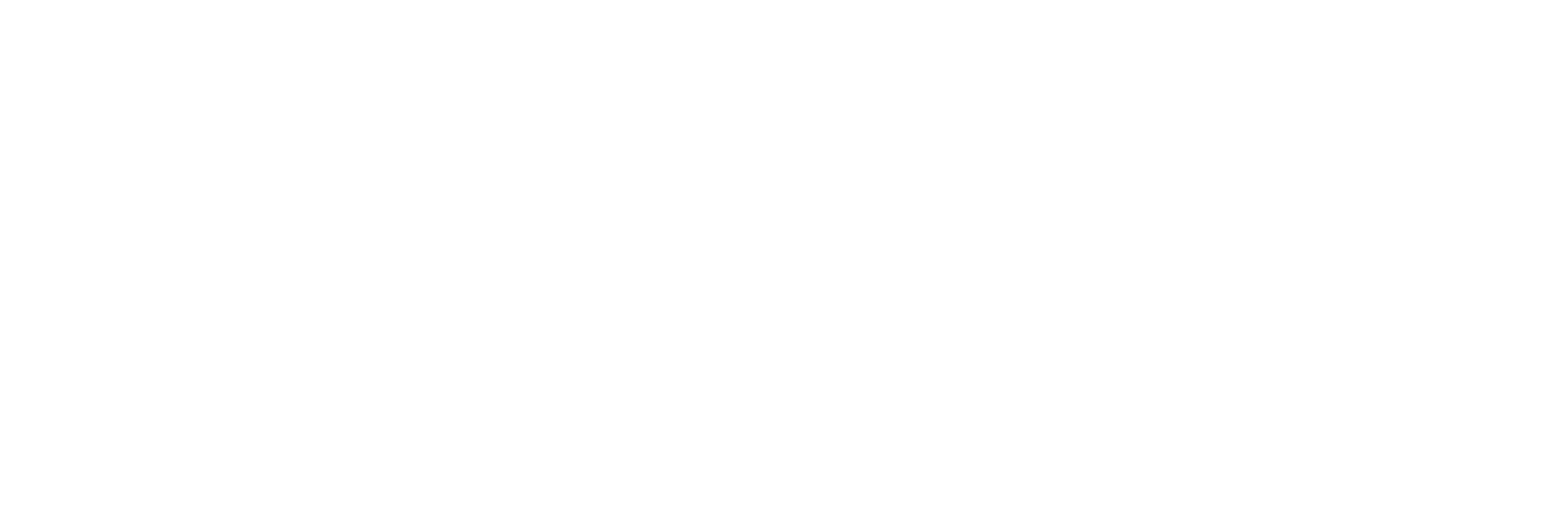 Tim Homayoon - Ex Boy Scout