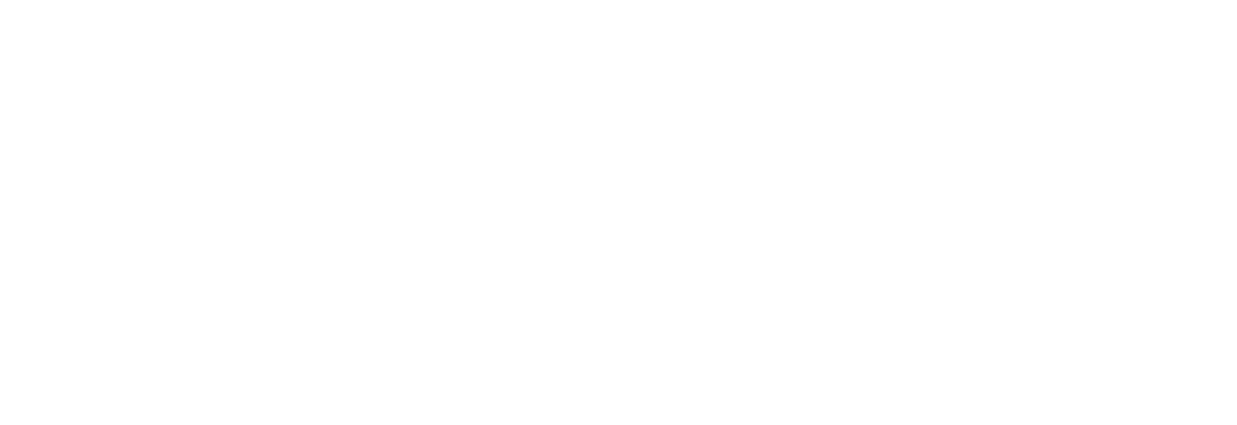 Bird Boy