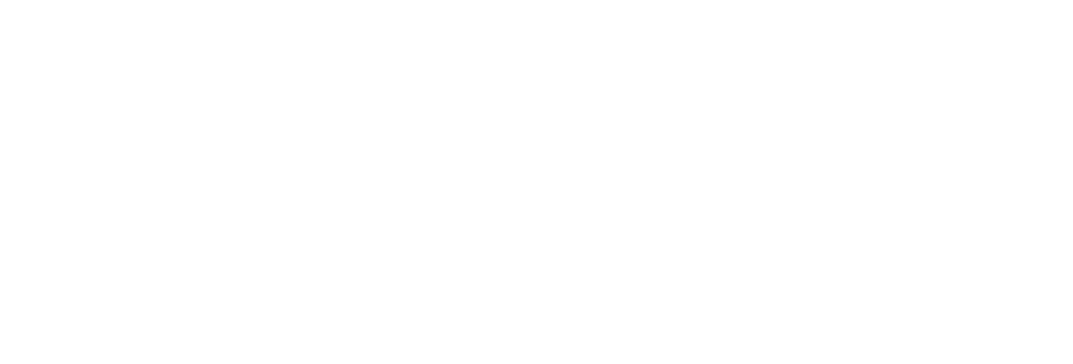 Bengt Washburn - Minimally Invasive