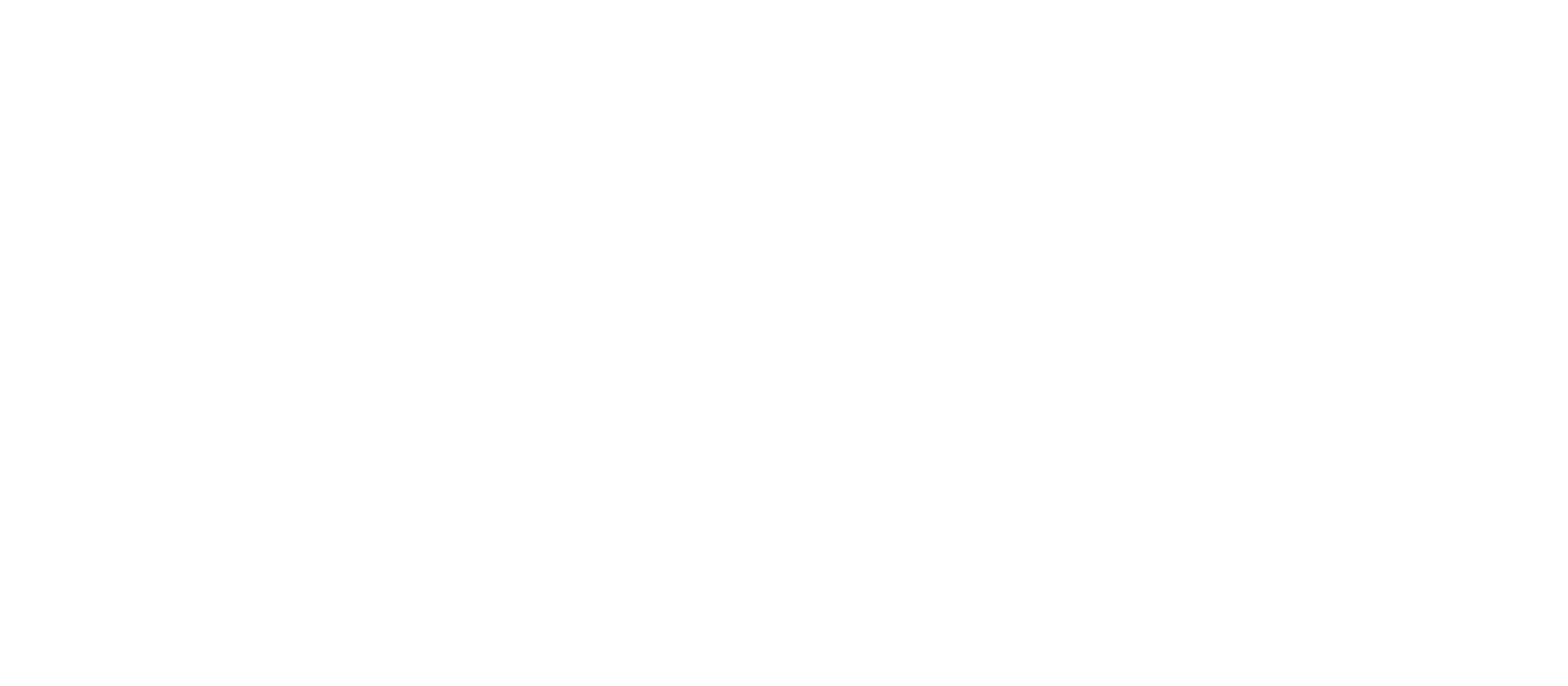 Flip Schultz - Tortuga!