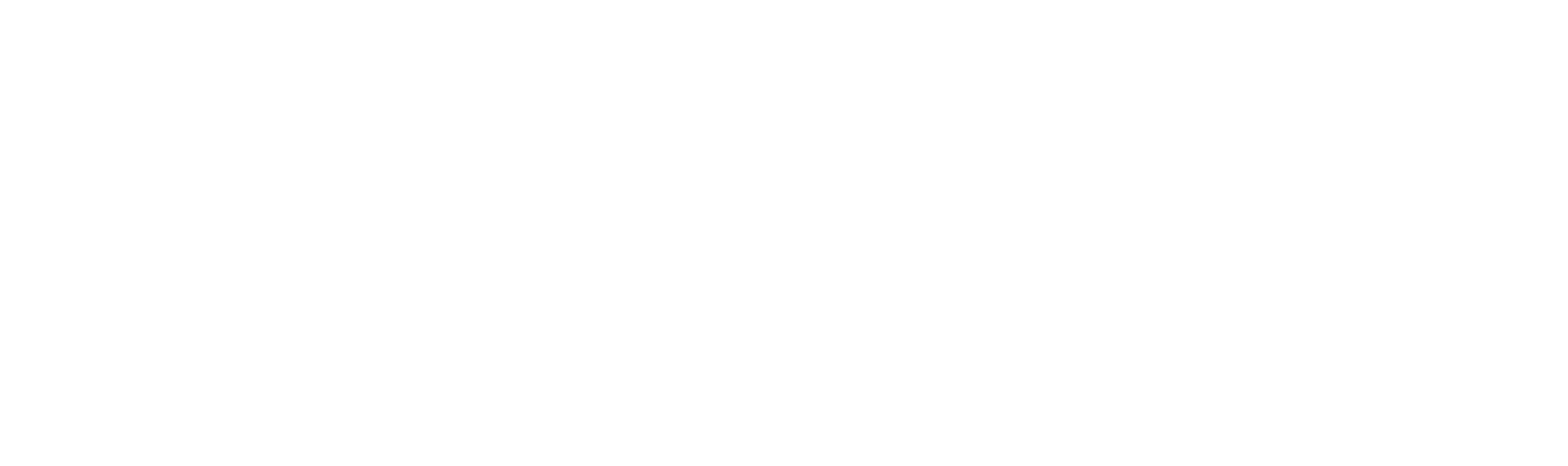 Dot Conner: Webtective