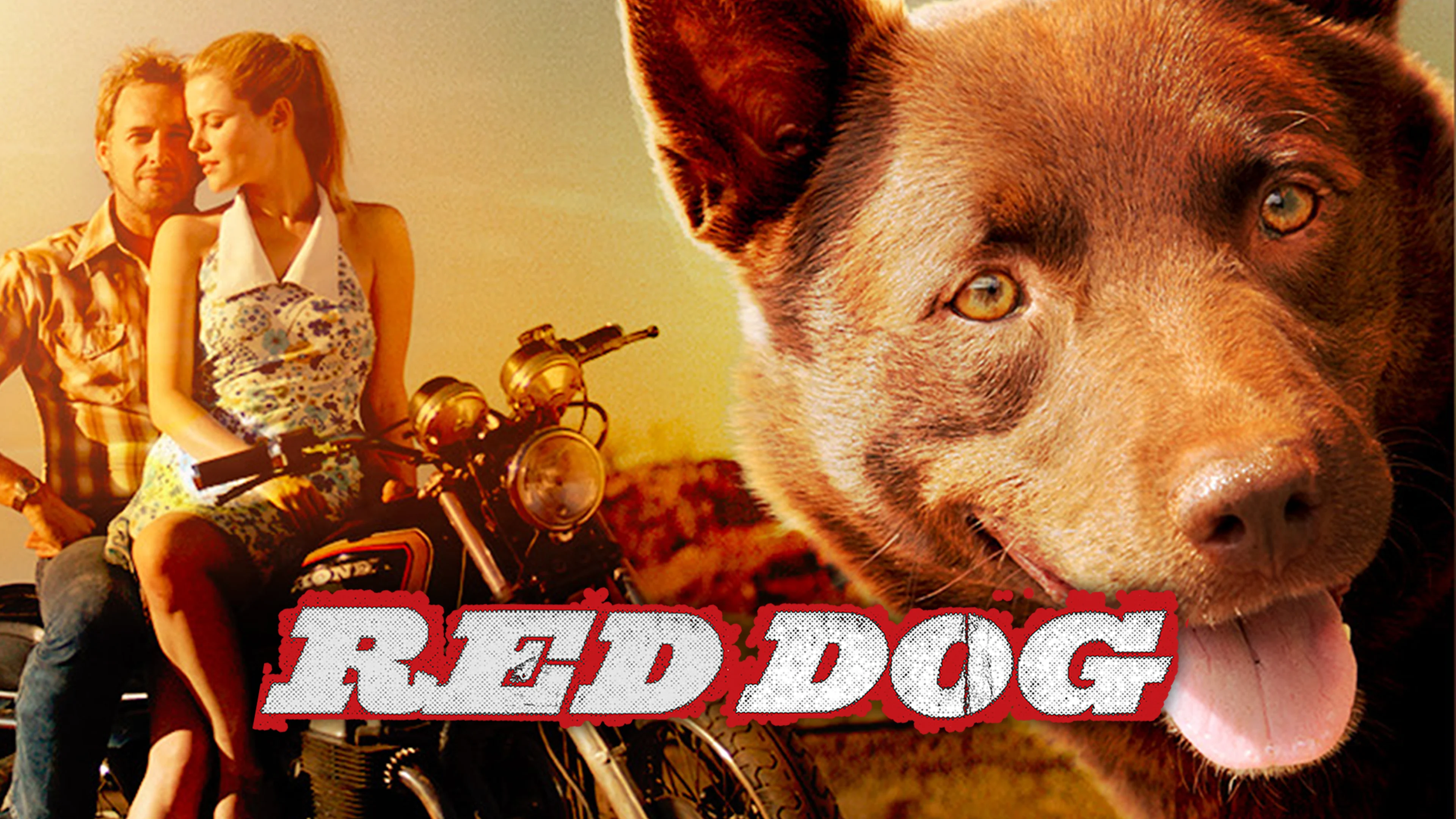 Where to Watch Red Dog