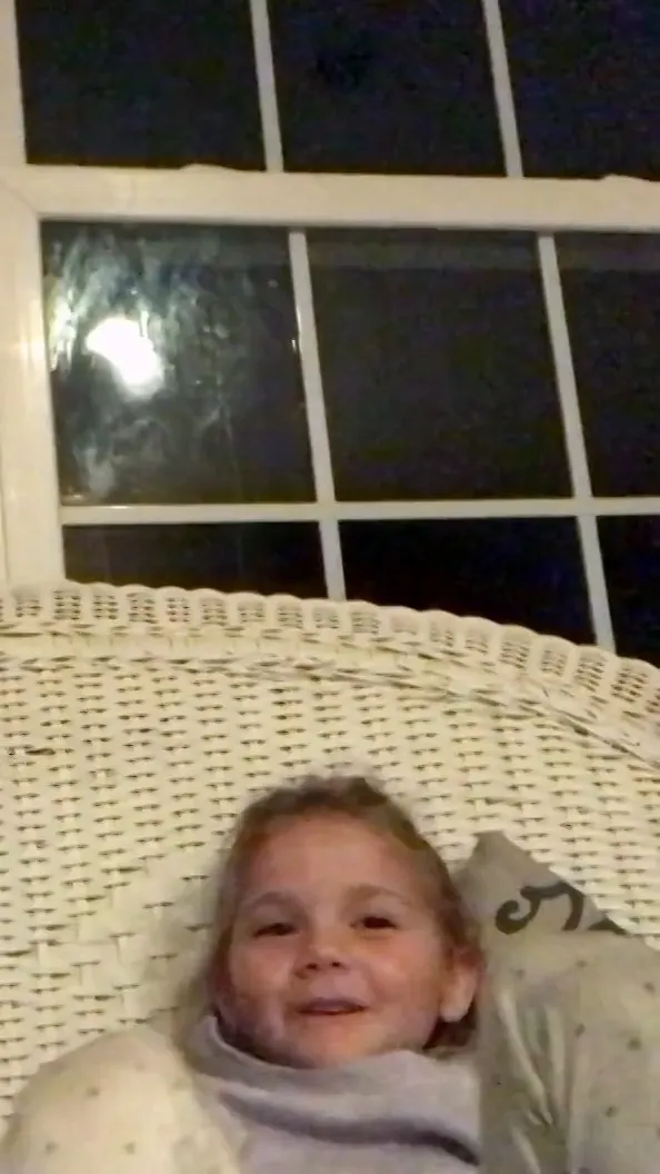 Jungle Beat Joy: Jo Jo and Molly Share Favorites!