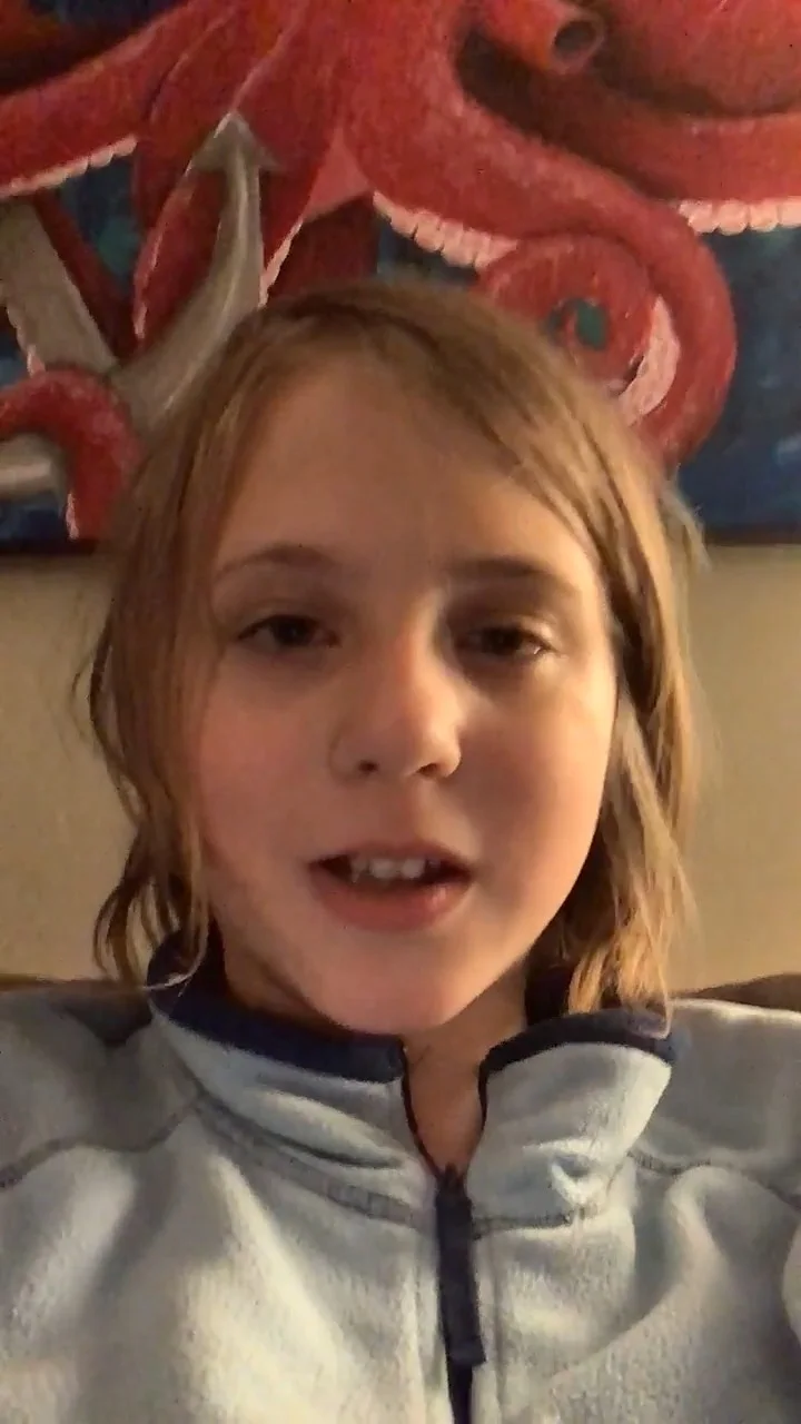 Young Fan's Journey into The Wingfeather Saga