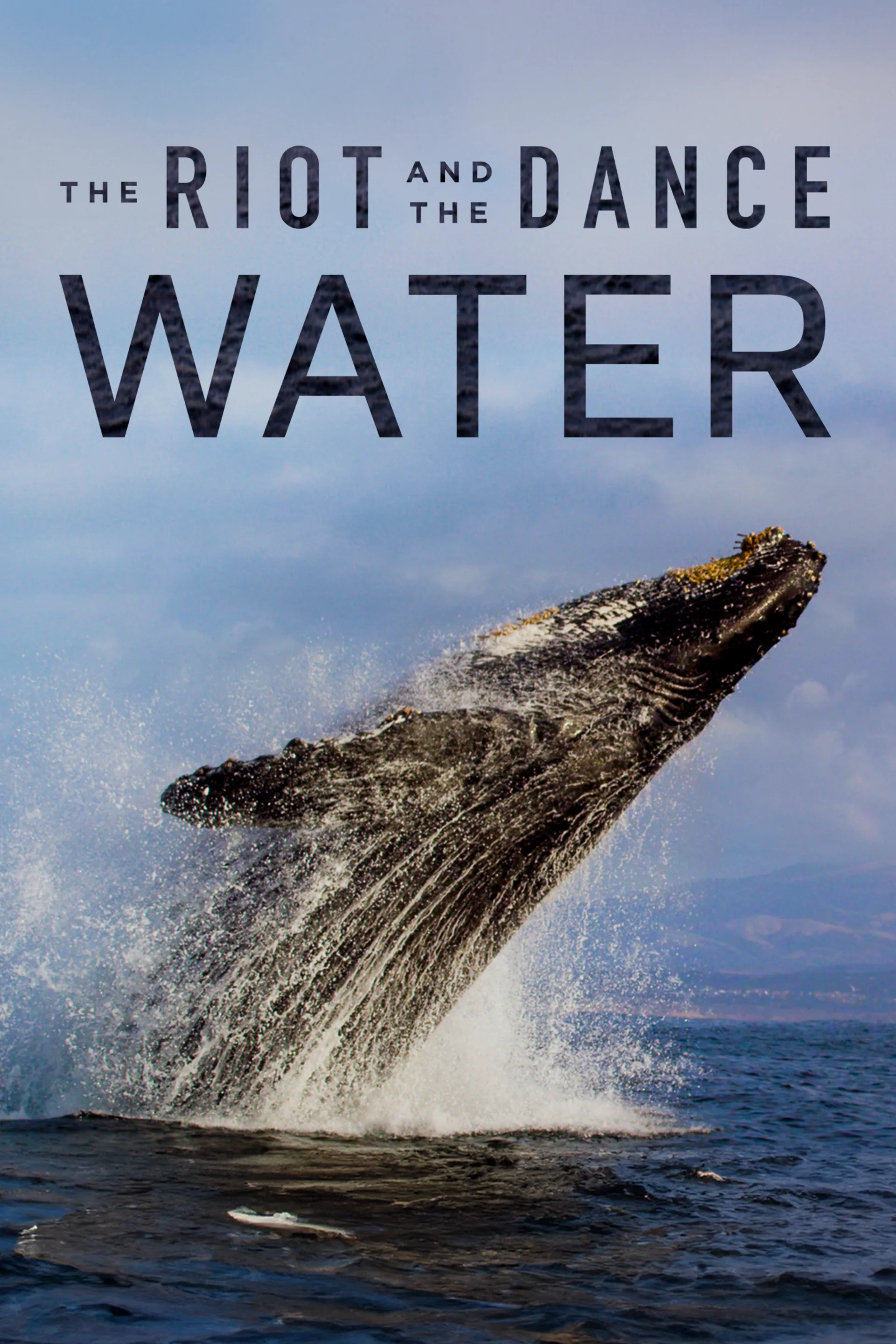 The Riot and the Dance: Water