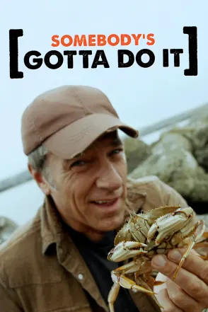 Link to show Somebody's Gotta Do It Season 4