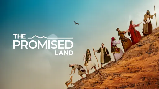 Where to Watch The Promised Land