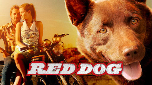 Where to Watch Red Dog