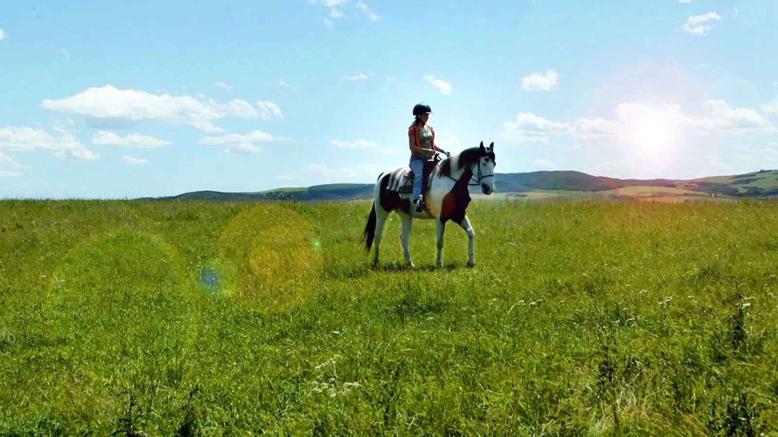 Where to Watch Moondance Alexander
