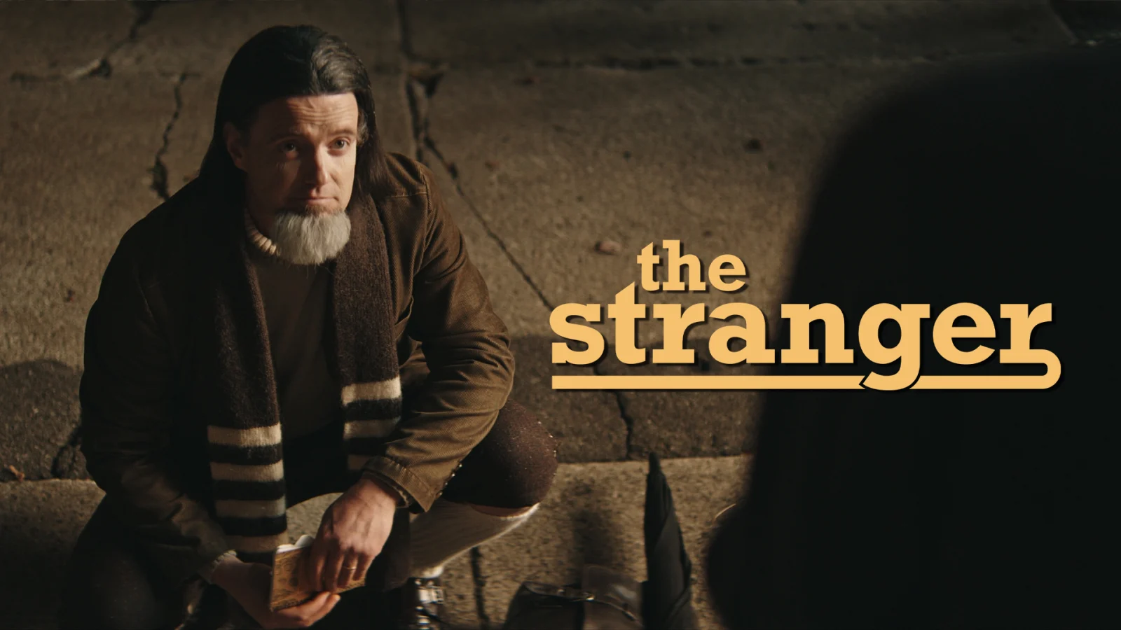 Where to Watch The Stranger