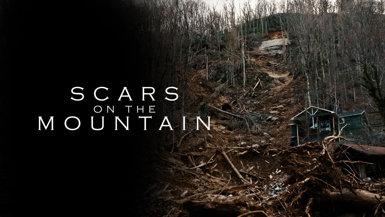 Where to Watch Scars on the Mountain