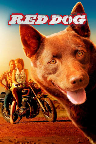 Red Dog