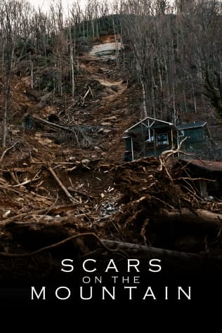 Scars on the Mountain