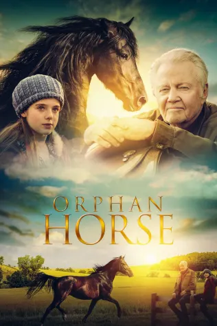 Orphan Horse