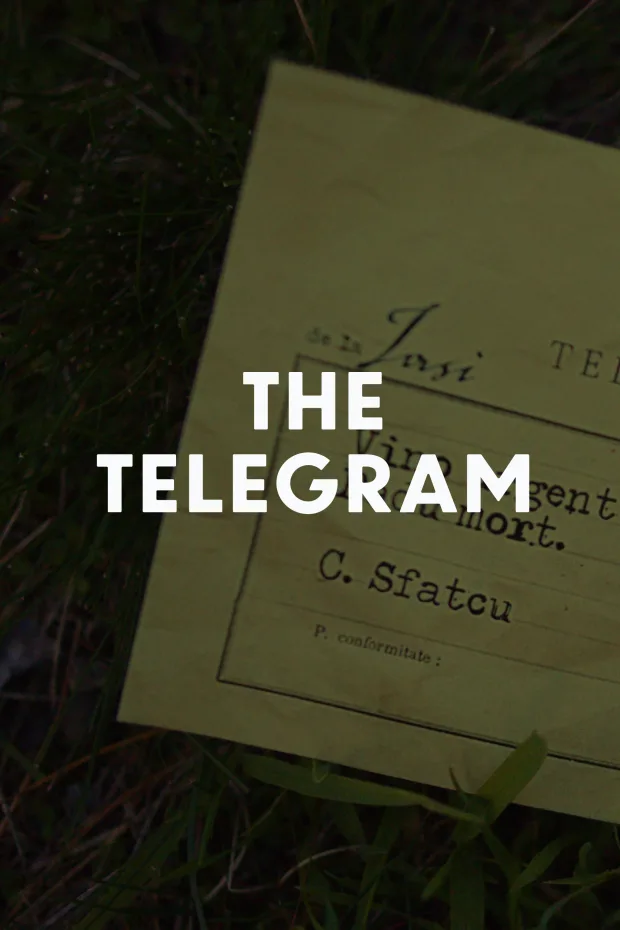 The Telegram Movie Poster