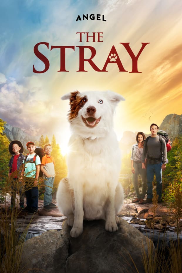 The Stray Pôster do filme