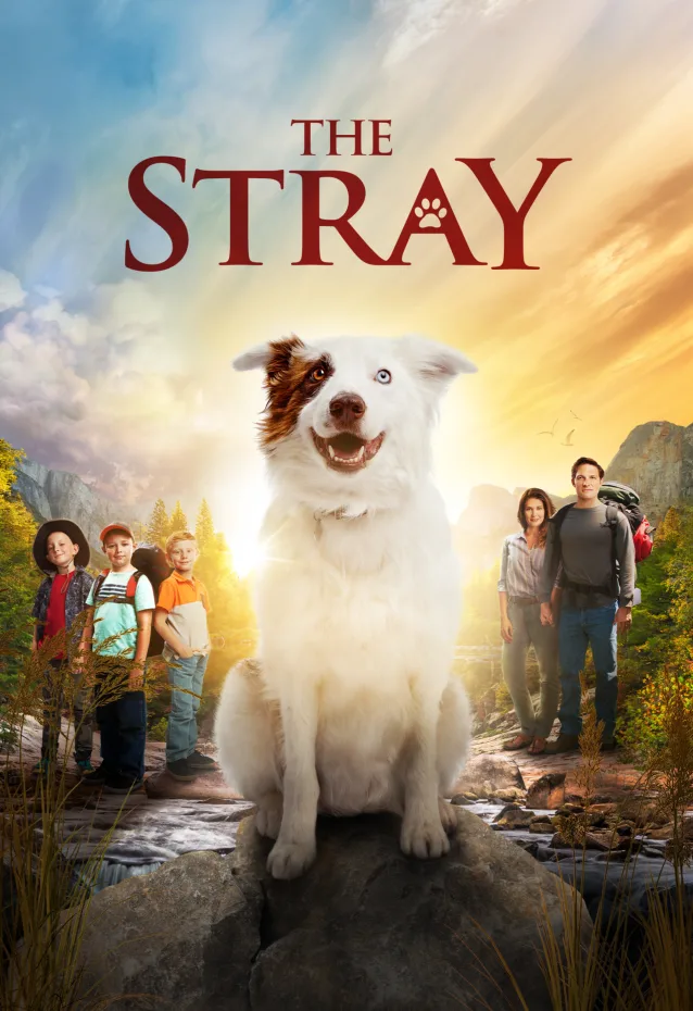 The Stray Movie Poster