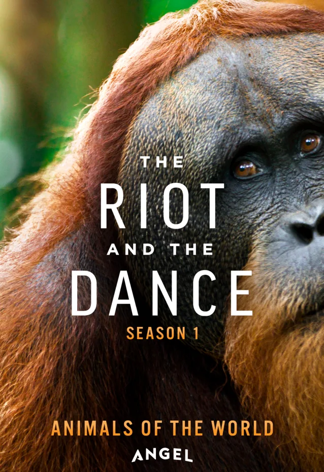 The Riot and the Dance Movie Poster