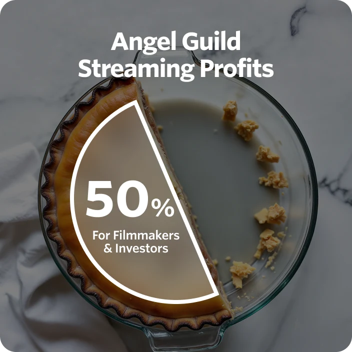 Angel Profits