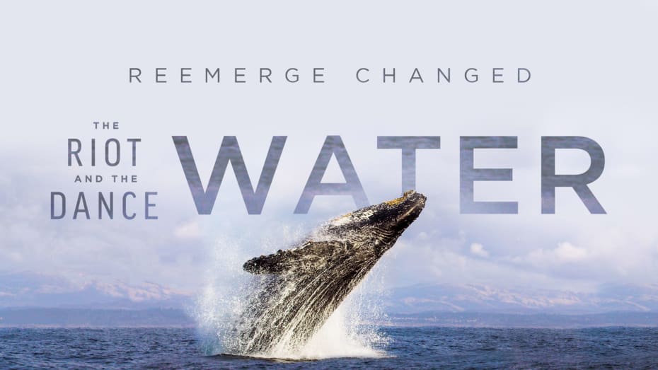 The Riot and the Dance: Water Movie Poster