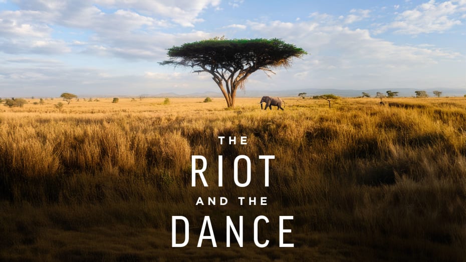 The Riot and the Dance Movie Poster