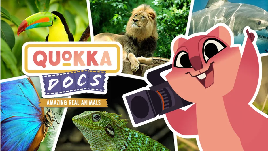  Quokka Docs: Amazing Real Animals Movie Poster