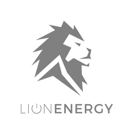 lion-energy-logo