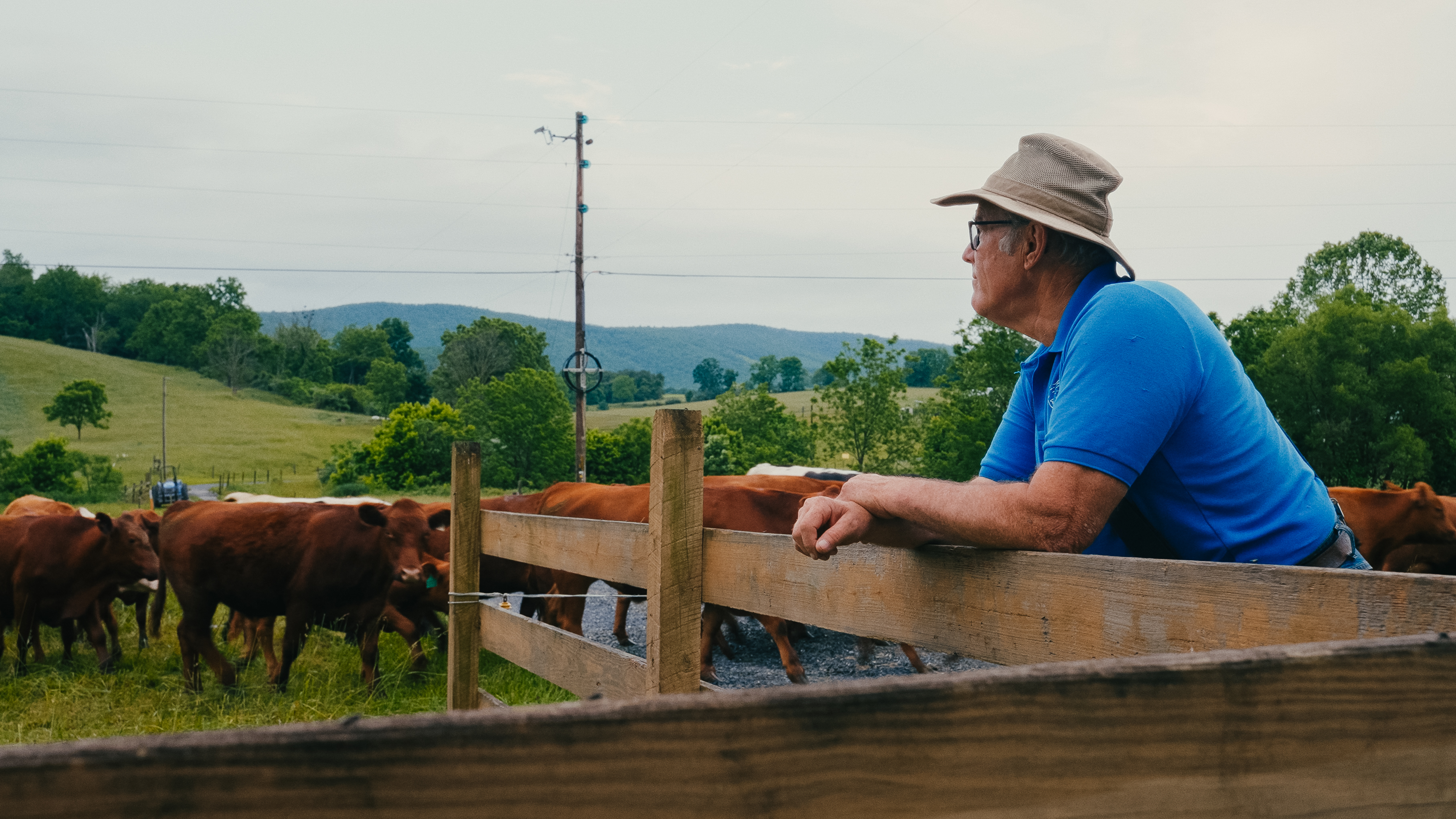 Lunatic Farmer