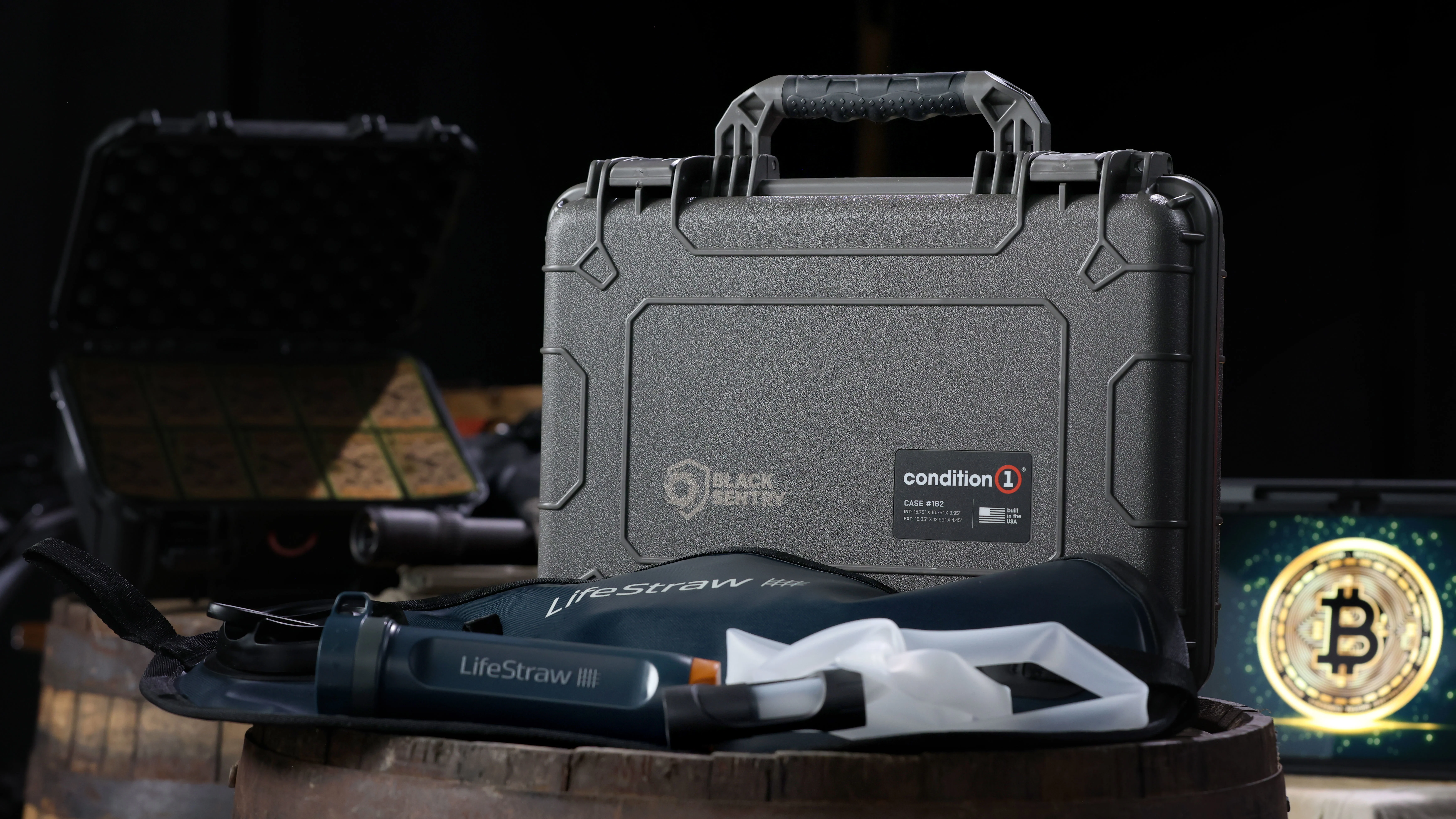 Water Purification by Black Sentry + Condition 1