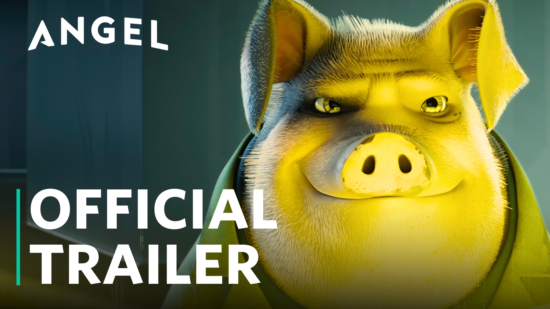 Video player thumbnail