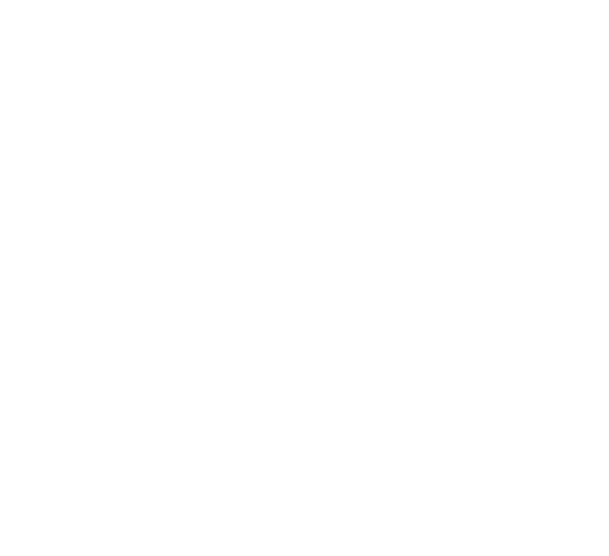 The Riot and the Dance Series