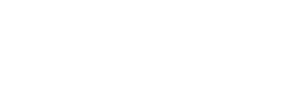 The Stray
