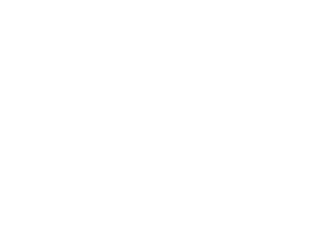 Franchise Logo Image