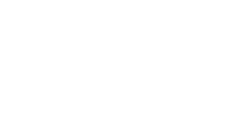 The Senior