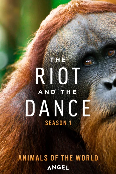 The Riot and the Dance